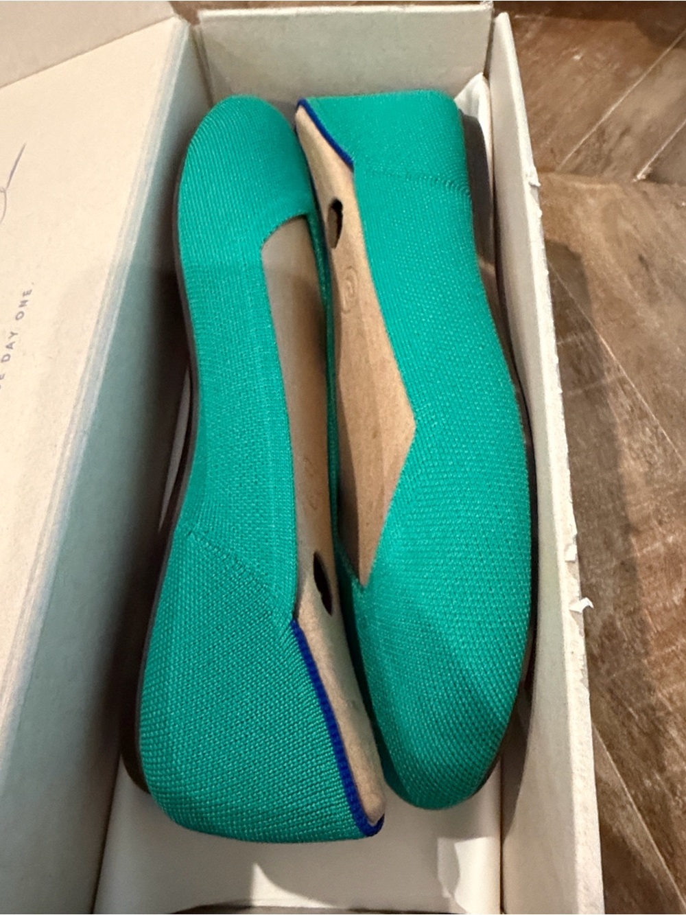 Rothy’s Shamrock The Daily Flat (Size 11)